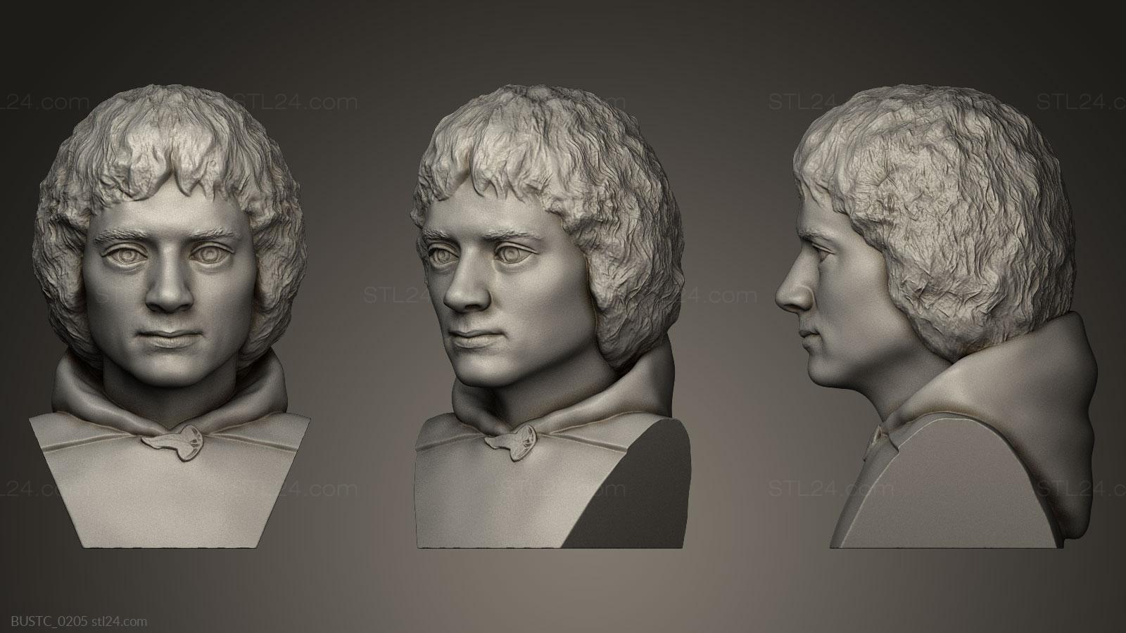 Бюсты и барельефы известных личностей (Фродо Бэггинс, BUSTC_0205) 3D модель для ЧПУ станка